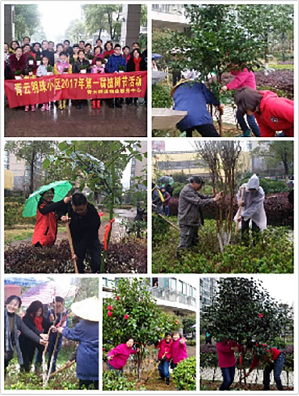 播一片綠林，種一份愛(ài)心